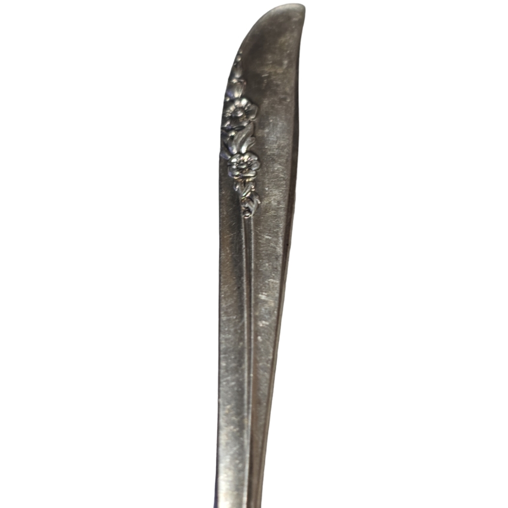 Oneida Lilac Time Silverplated Tea Spoon - Picture 2 of 3